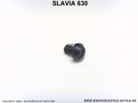 Scharnierhalteschraube  SLAVIA 630