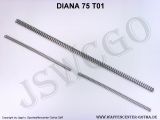 Druckfedersatz-Kolbenfedersatz (3-teilig komplett) DIANA 75T01